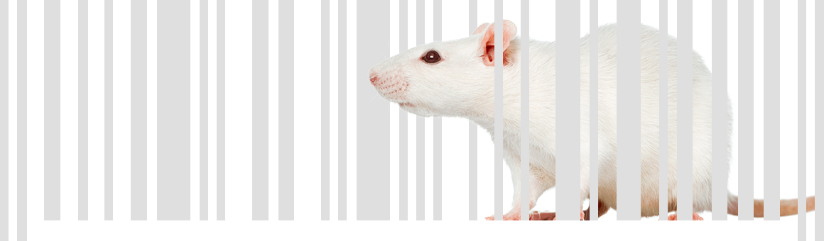 A mouse integrated with a barcode with text that reads Which Food and Beverage Companies Test on Animals?